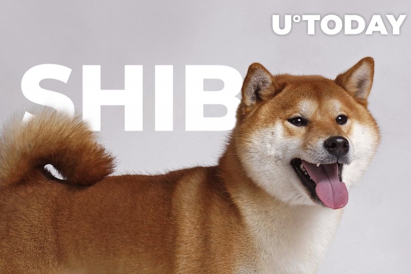 Shiba Inu Sekarang Dinilai Lebih Tinggi Dari Nissan dan LG&nbsp;Electronics