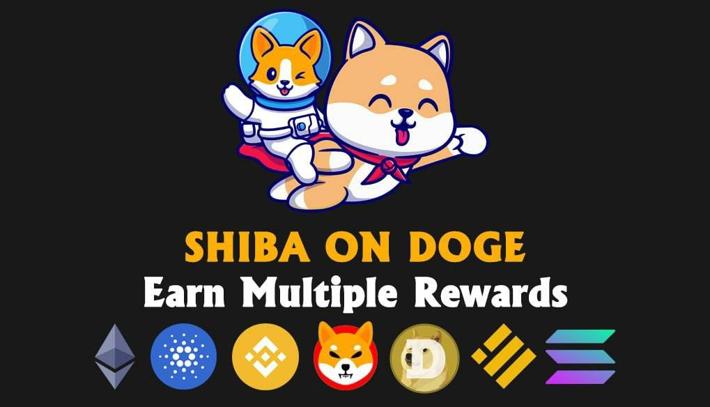 SHIBA ON DOGE