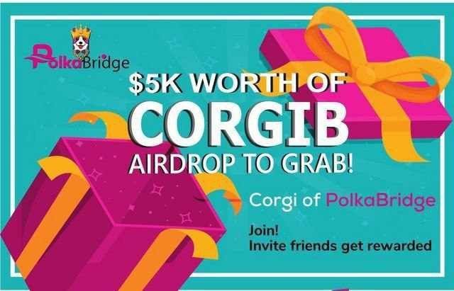 Corgi of Polkabridge