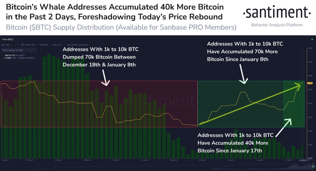Paus Melahap Bitcoin Karena Pasokan BTC Non-Pertukaran Melonjak ke Tertinggi Sepanjang