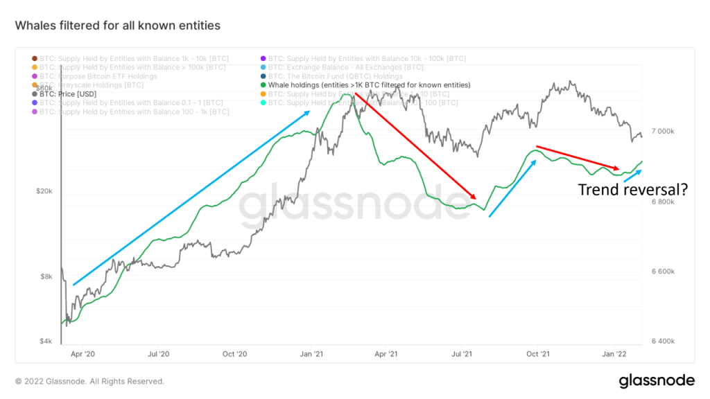 Pembalikan Tren Bitcoin? Analis On-Chain Melihat Aktivitas Paus Saat BTC Melambung Di Atas&nbsp;$40.000